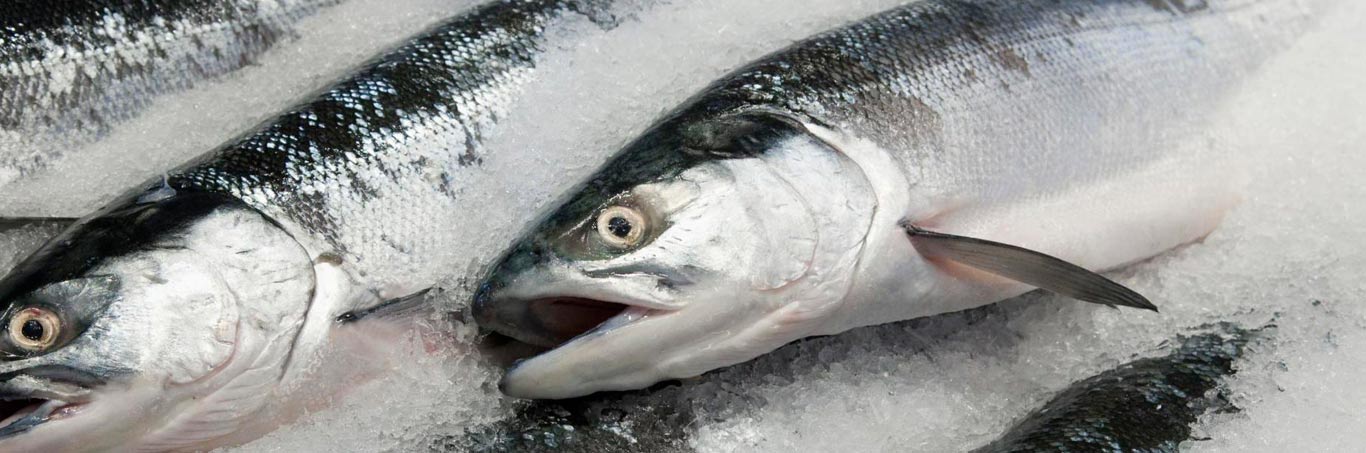 certificación de alimentos, pescados y mariscos