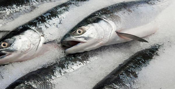 certificación de alimentos como pescado y mariscos