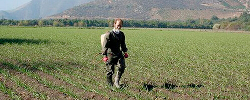 Monsanto y su herbicida